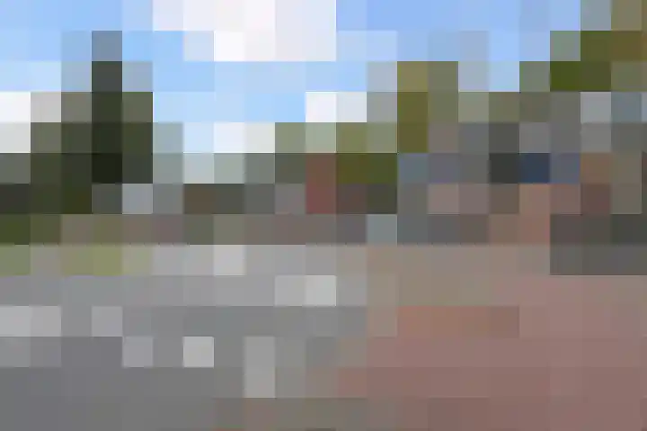 Hannie Schaftrode 66 Zoetermeer thumbnail 28