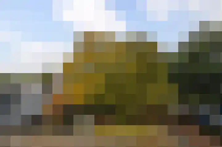 Hannie Schaftrode 66 Zoetermeer thumbnail 40