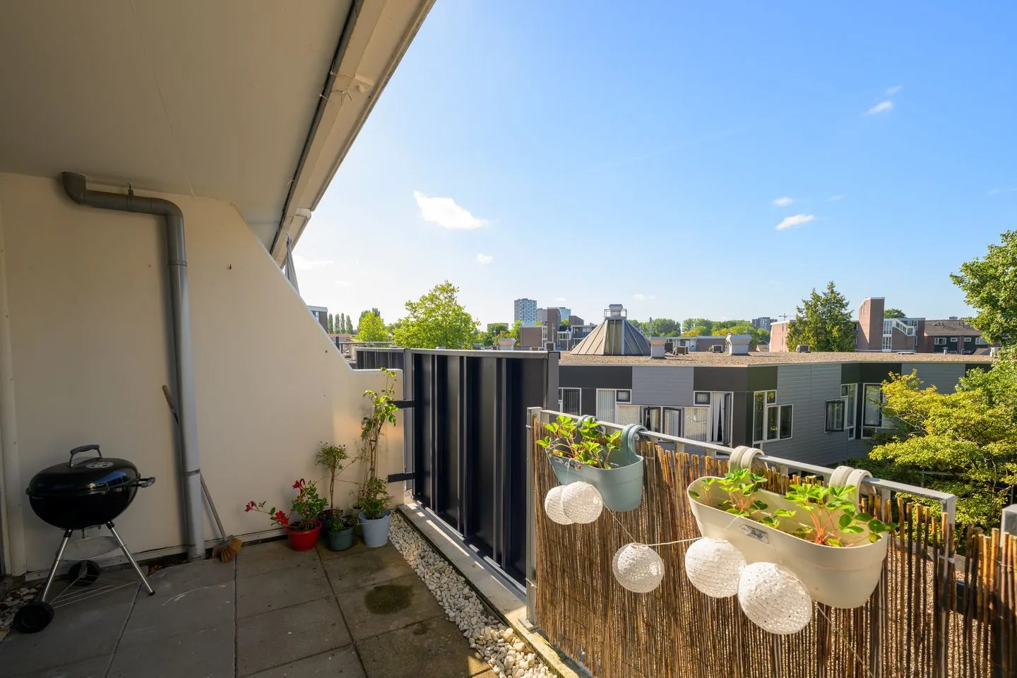 Hannie Schaftrode 68 Zoetermeer thumbnail 26