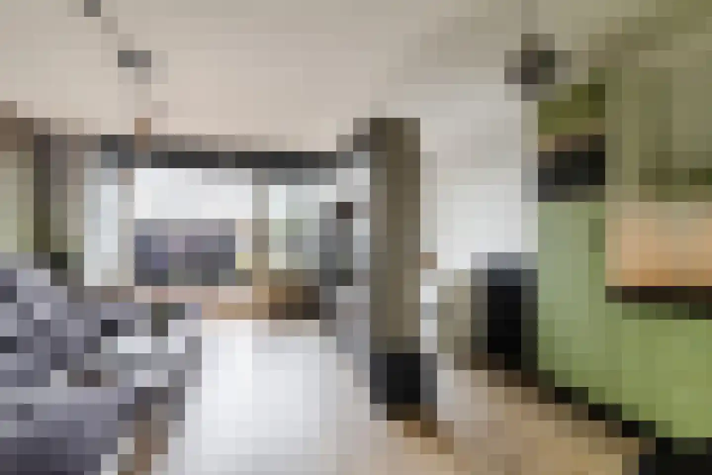 Hannie Schaftrode 78 in Zoetermeer