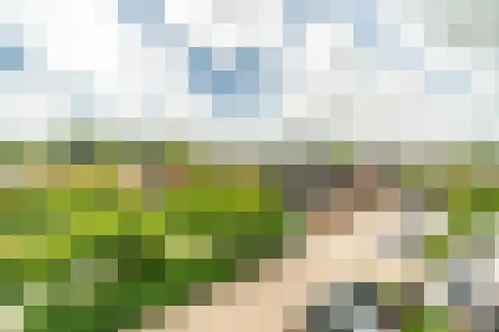 Hannie Schaftrode 78 Zoetermeer thumbnail 11
