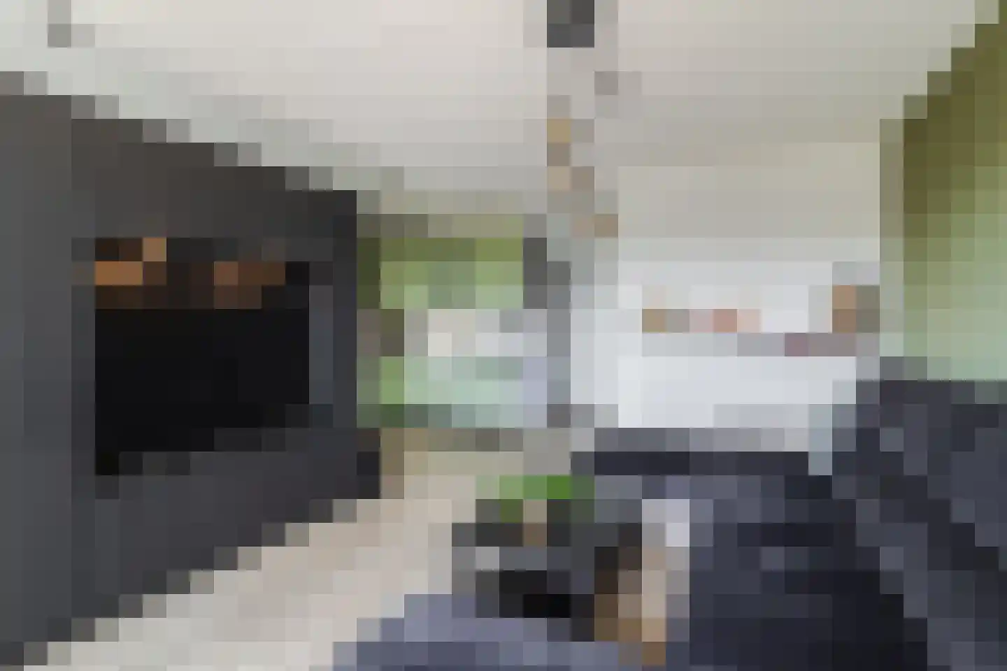 Hannie Schaftrode 78 Zoetermeer thumbnail 13