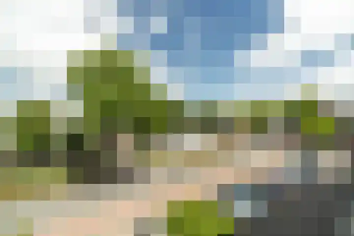 Hannie Schaftrode 78 Zoetermeer thumbnail 27