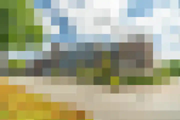 Hannie Schaftrode 78 Zoetermeer thumbnail 30
