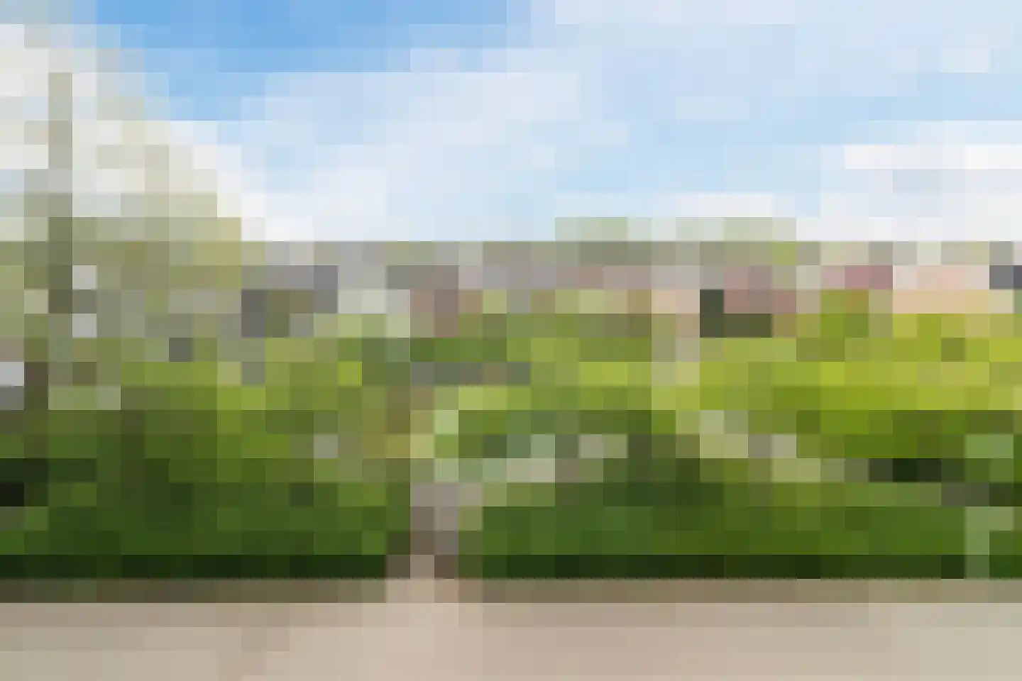 Hannie Schaftrode 78 Zoetermeer thumbnail 35