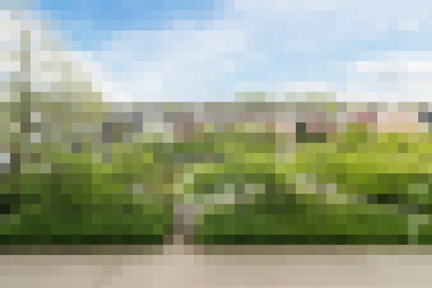 Hannie Schaftrode 78 Zoetermeer thumbnail 35