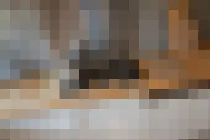 Hannie Schaftsingel 32 Pijnacker thumbnail 11