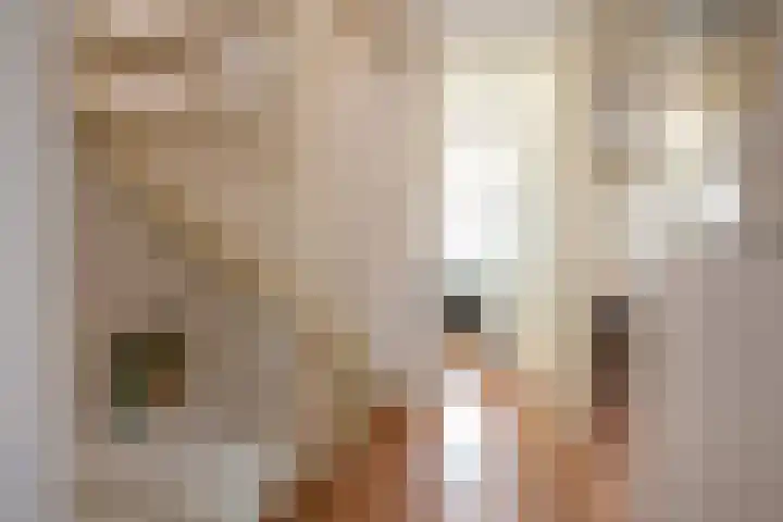 Hannie Schaftsingel 32 Pijnacker thumbnail 13