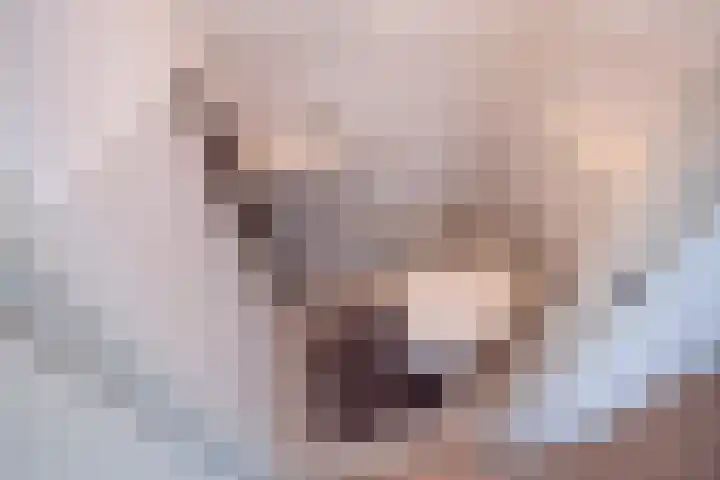 Hannie Schaftsingel 32 Pijnacker thumbnail 17