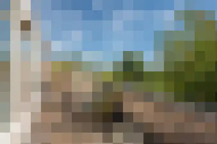 Hannie Schaftsingel 32 Pijnacker thumbnail 21