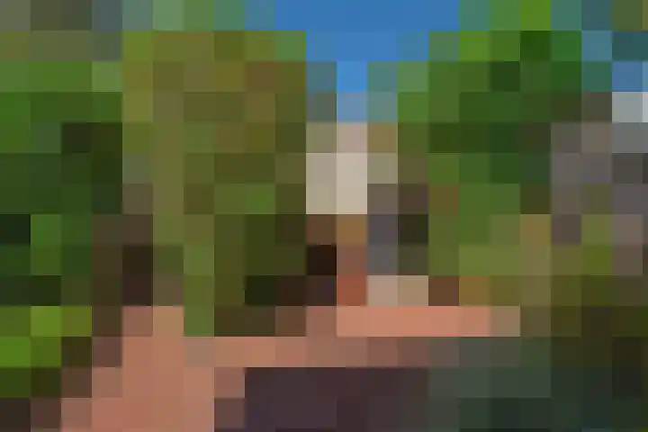 Hannie Schaftsingel 32 Pijnacker thumbnail 24