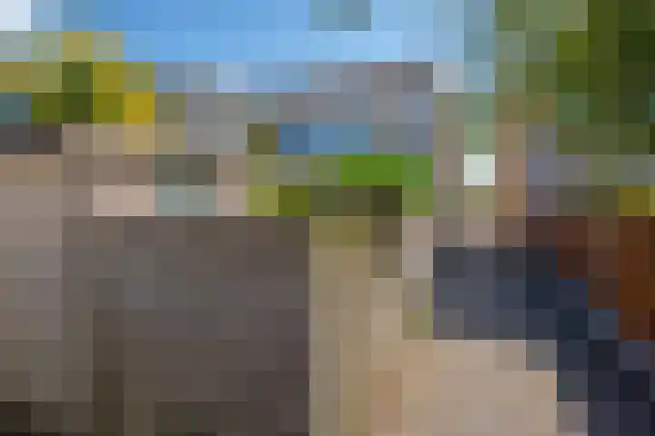 Hannie Schaftsingel 32 Pijnacker thumbnail 25