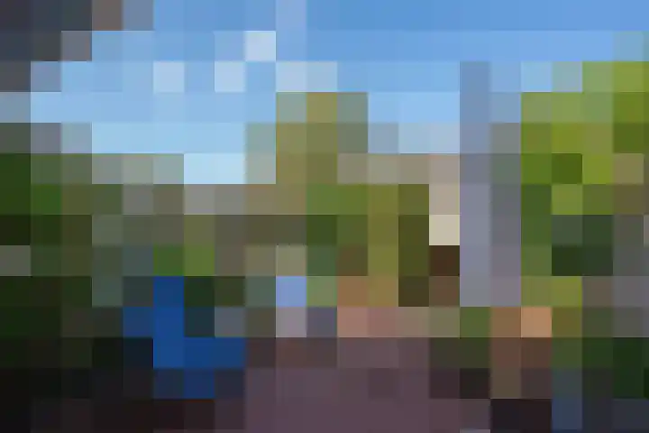 Hannie Schaftsingel 32 Pijnacker thumbnail 4