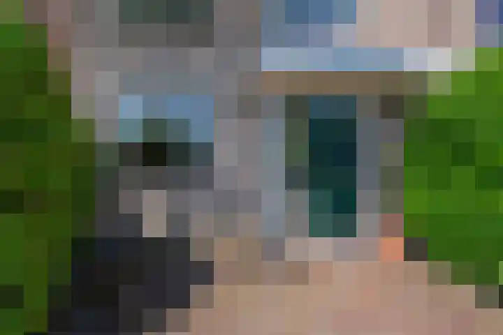 Hannie Schaftsingel 32 Pijnacker thumbnail 5