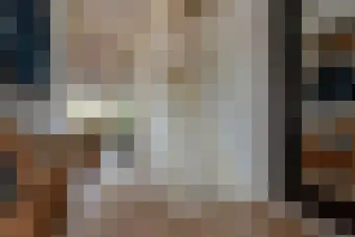 Hannie Schaftsingel 32 Pijnacker thumbnail 6