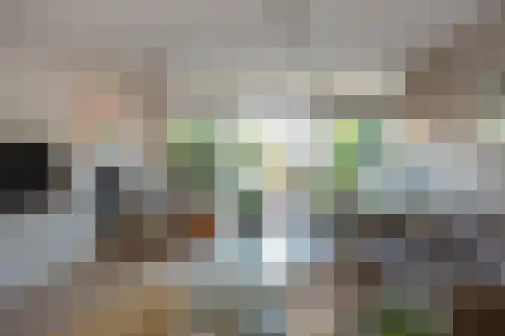 Hannie Schaftsingel 32 Pijnacker thumbnail 7