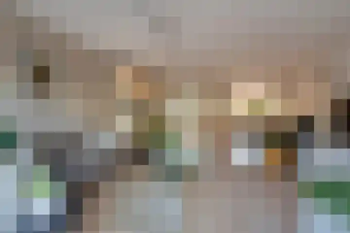 Hannie Schaftsingel 32 Pijnacker thumbnail 8