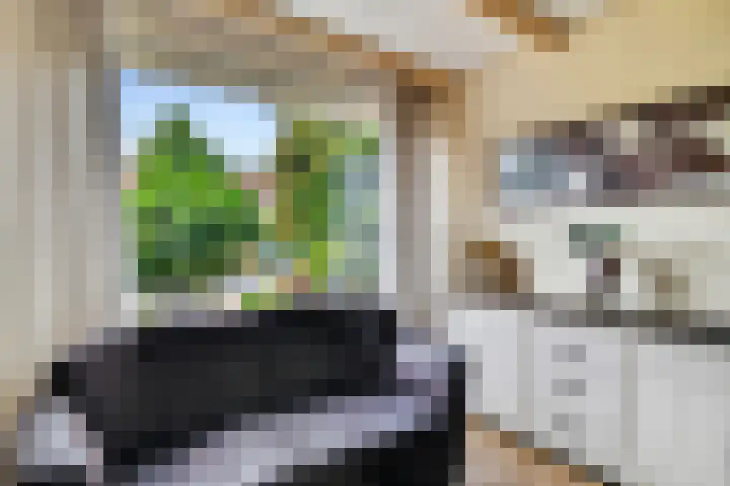Hannie Schaftstraat 13 Purmerend thumbnail 13