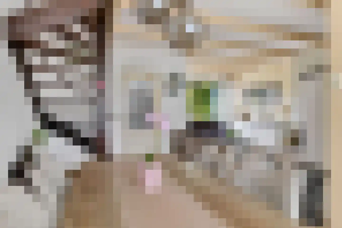 Hannie Schaftstraat 13 Purmerend thumbnail 6