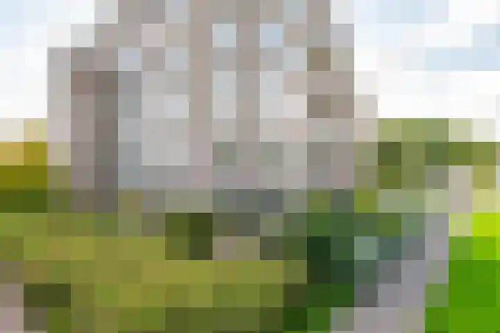 Hannie Schaftstraat 163 Hoofddorp thumbnail 36