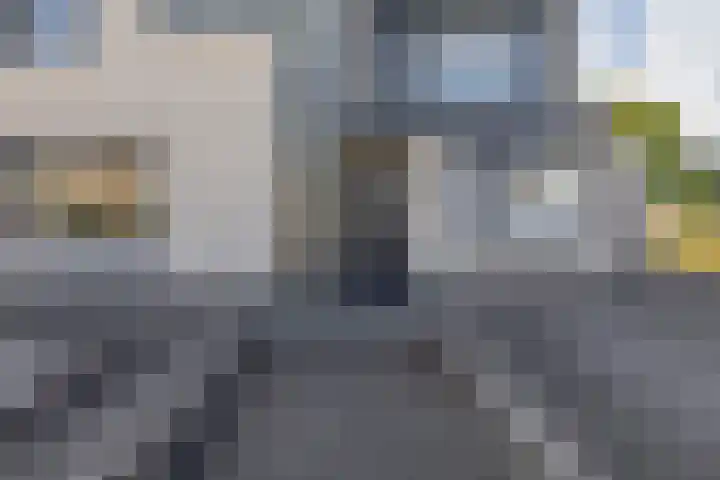 Hannie Schaftstraat 23 Spijkenisse thumbnail 13