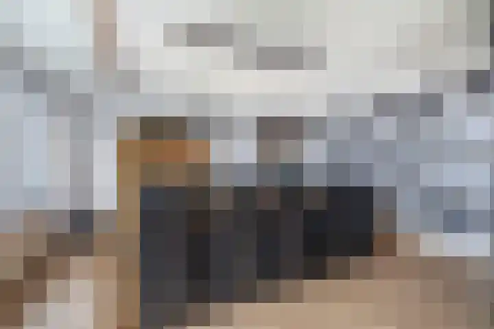 Hannie Schaftstraat 23 Spijkenisse thumbnail 21