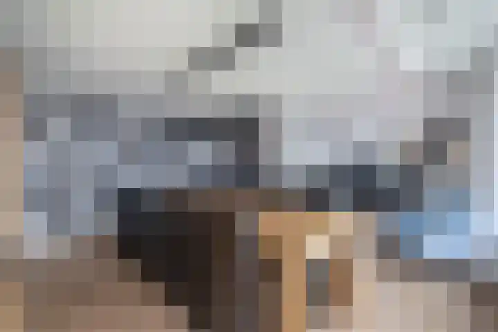 Hannie Schaftstraat 23 Spijkenisse thumbnail 22