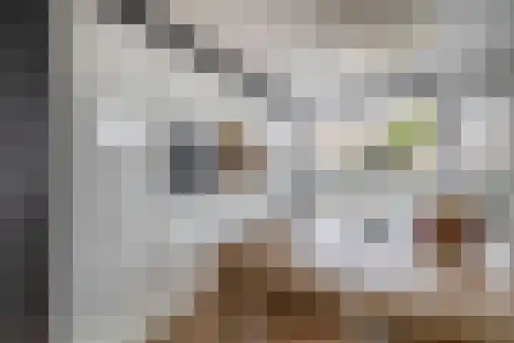 Hannie Schaftstraat 23 Spijkenisse thumbnail 23