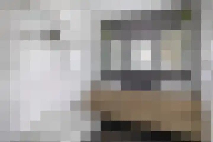 Hannie Schaftstraat 23 Spijkenisse thumbnail 4