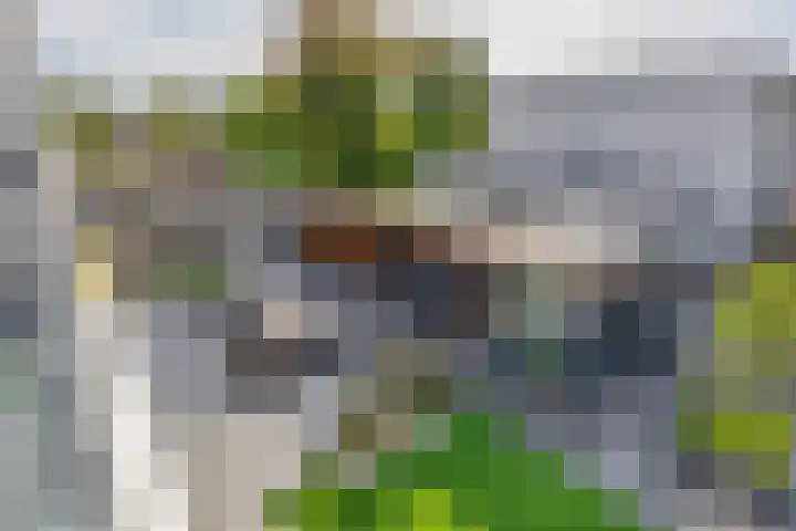 Hannie Schaftstraat 23 Spijkenisse thumbnail 5