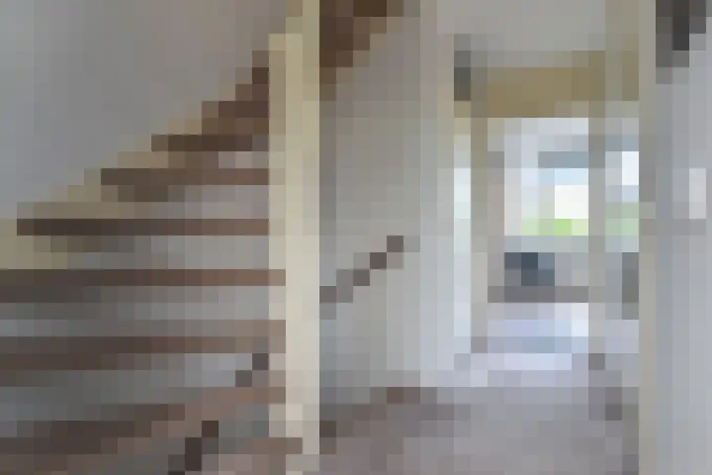 Hannie Schaftstraat 41 Leidschendam thumbnail 24
