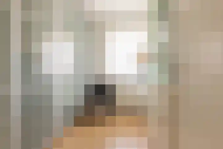 Hannie Schaftstraat 53 Leiden thumbnail 33