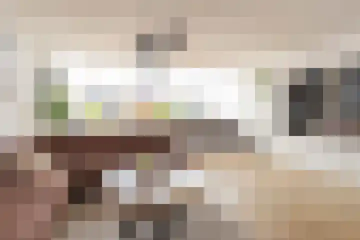 Hannie Schaftstraat 53 Leiden thumbnail 4