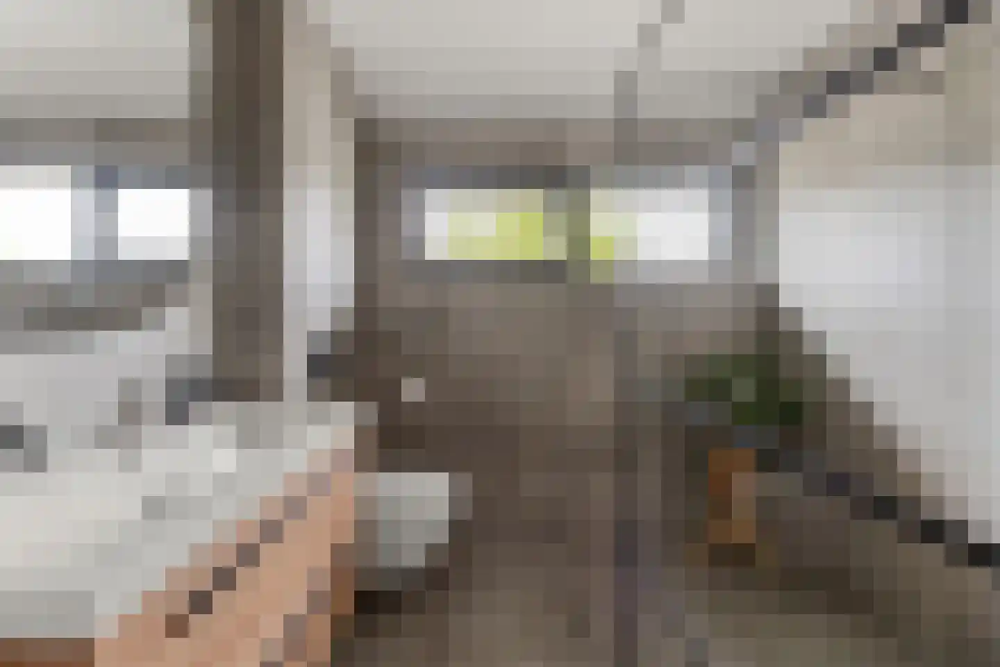 Hannie Schaftstraat 61 Alkmaar thumbnail 22
