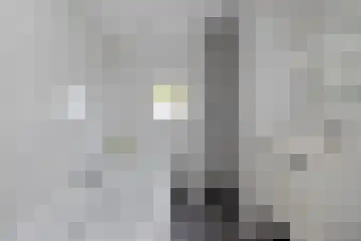 Hannie Schaftstraat 7 Velserbroek thumbnail 4