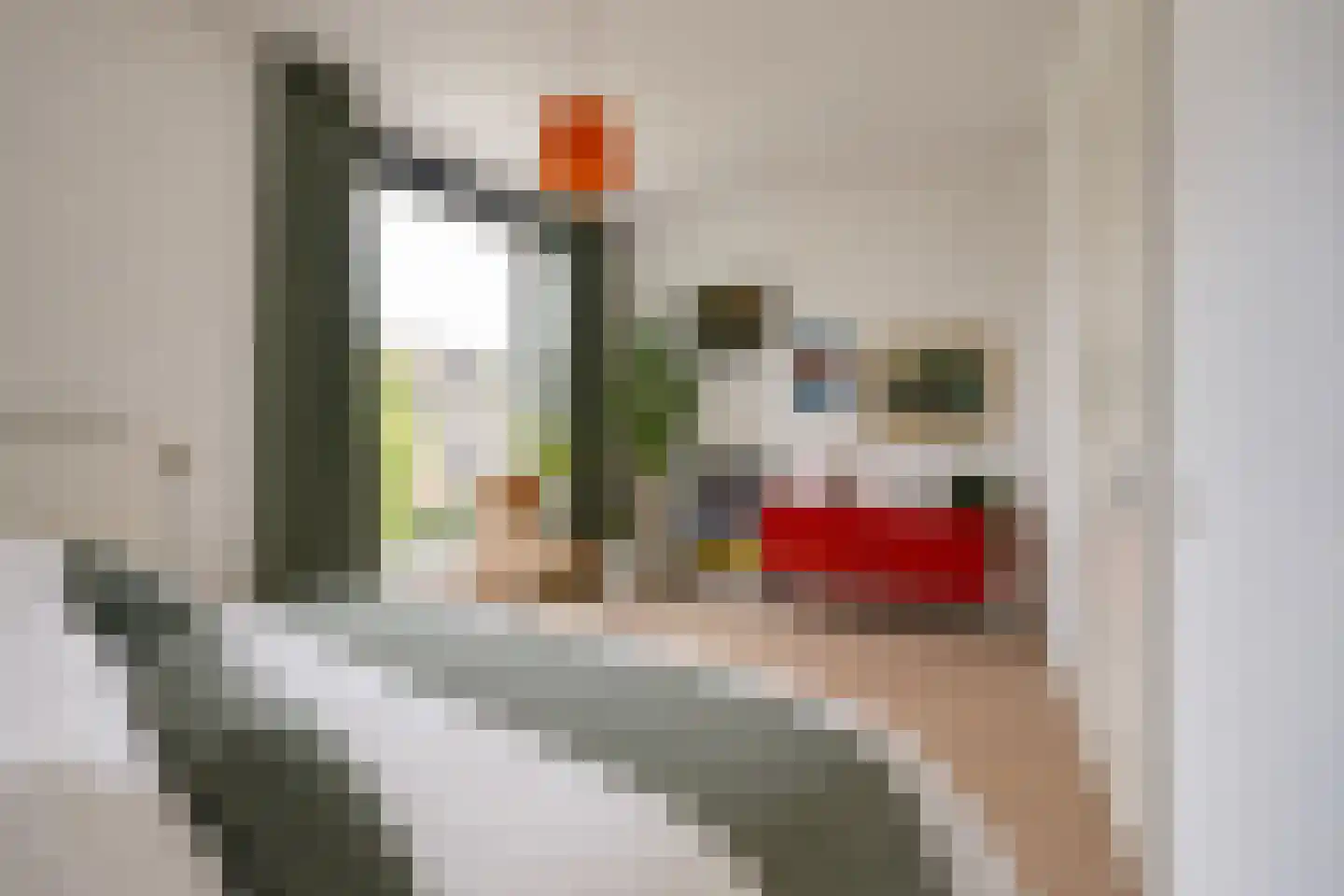 Hannie Termeulenpad 3 Amsterdam thumbnail 47