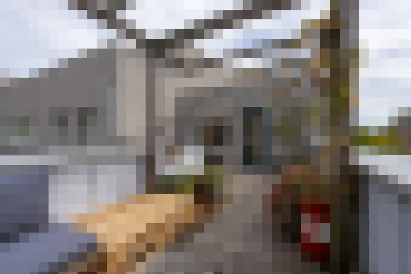 Hannie Termeulenpad 3 Amsterdam thumbnail 54