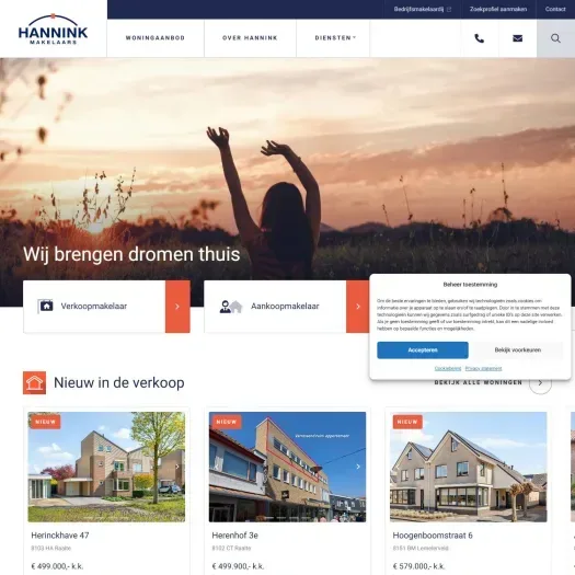 Screenshot van de website van www.hannink.nl