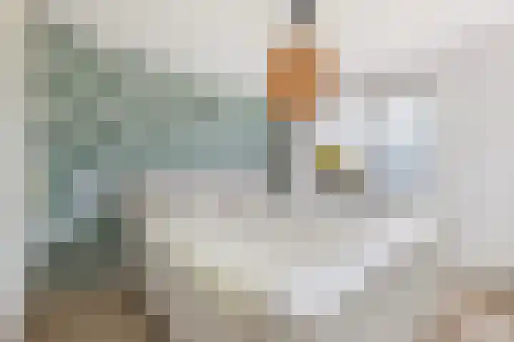 Hanninkhoek 33 Enschede thumbnail 20