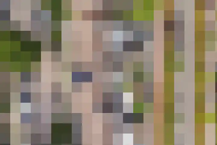 Hanninkhoek 33 Enschede thumbnail 35