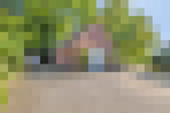 Hanninkweg 26 Haaksbergen thumbnail 32