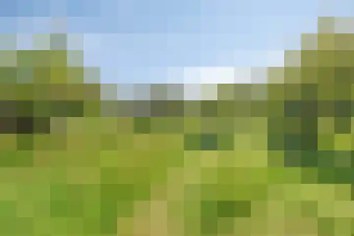 Hanninkweg 26 Haaksbergen thumbnail 41