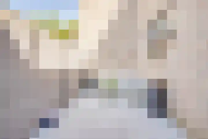 Hannolaan 1 Utrecht thumbnail 23