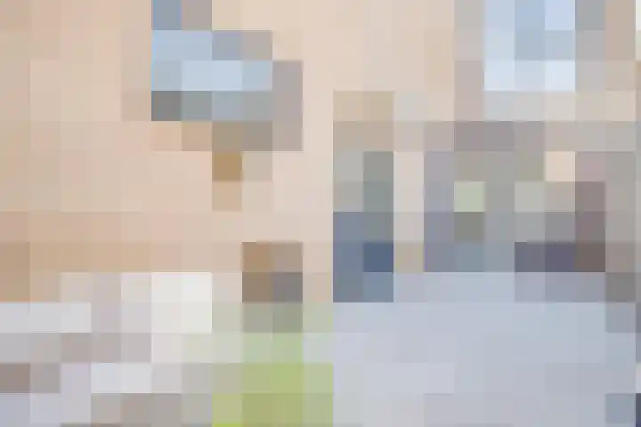 Hannolaan 1 Utrecht thumbnail 25