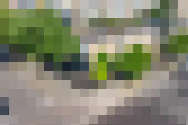 Hannolaan 1 Utrecht thumbnail 31