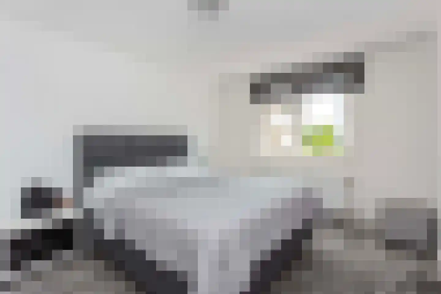 Hannolaan 28 Utrecht thumbnail 29