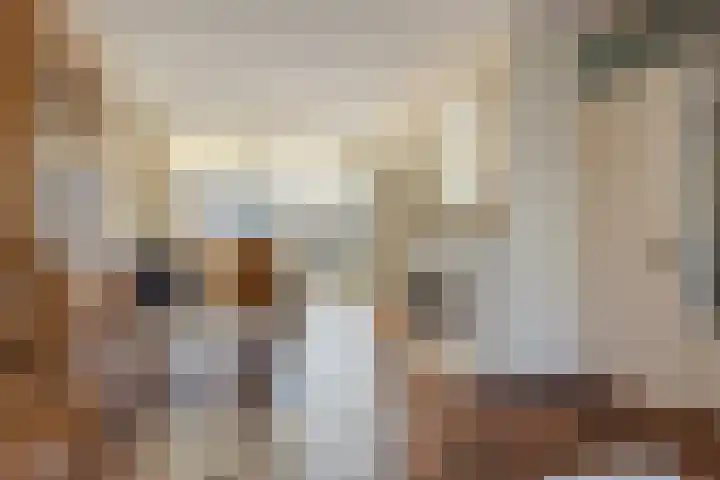 Hannolaan 30 Utrecht thumbnail 11