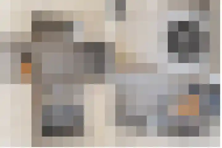 Hannolaan 30 Utrecht thumbnail 14