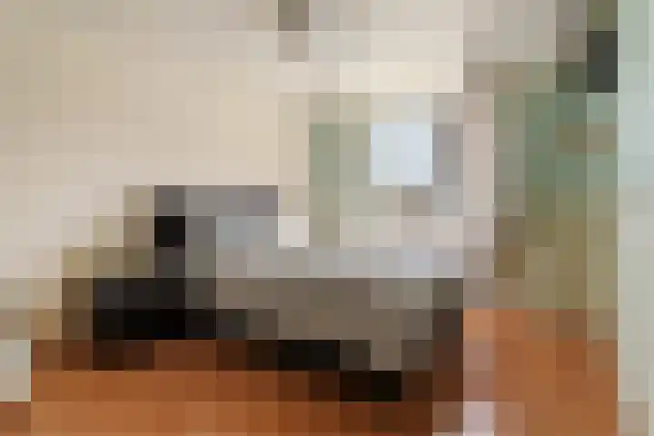 Hannolaan 30 Utrecht thumbnail 17