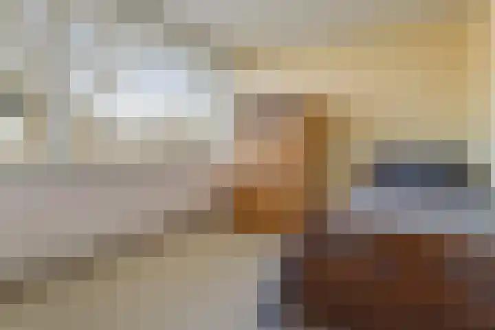 Hannolaan 30 Utrecht thumbnail 21